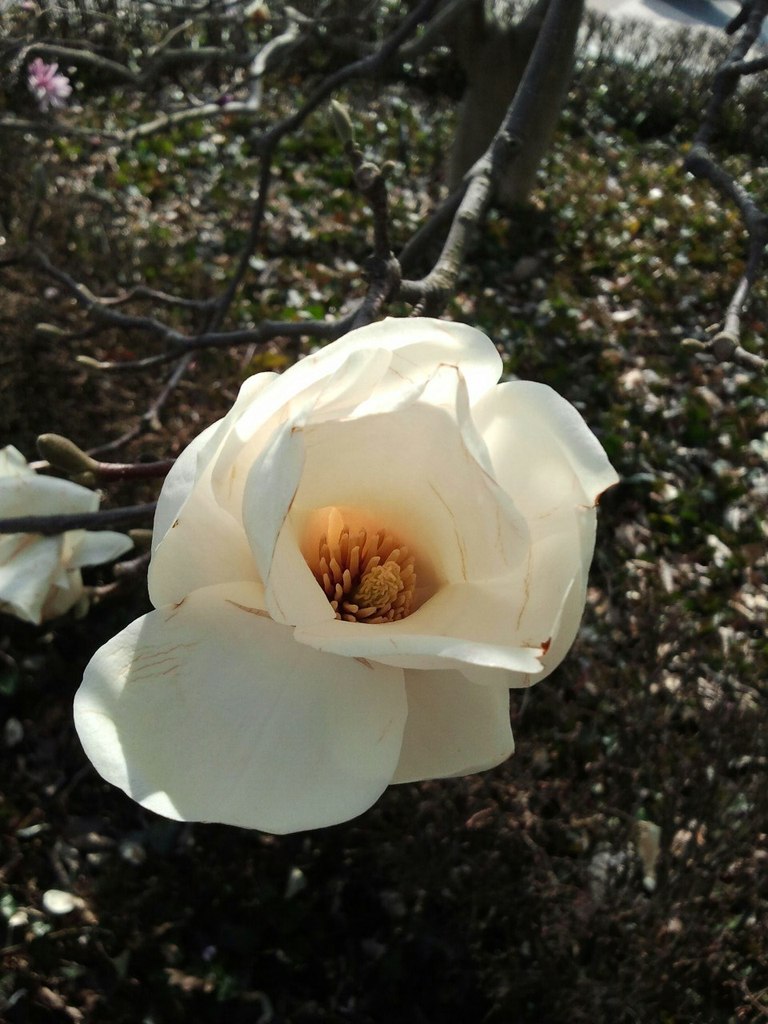 Игорь Панов | Santo Domingo