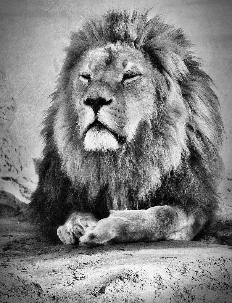 Aleksey Dzyapko | Ужгород