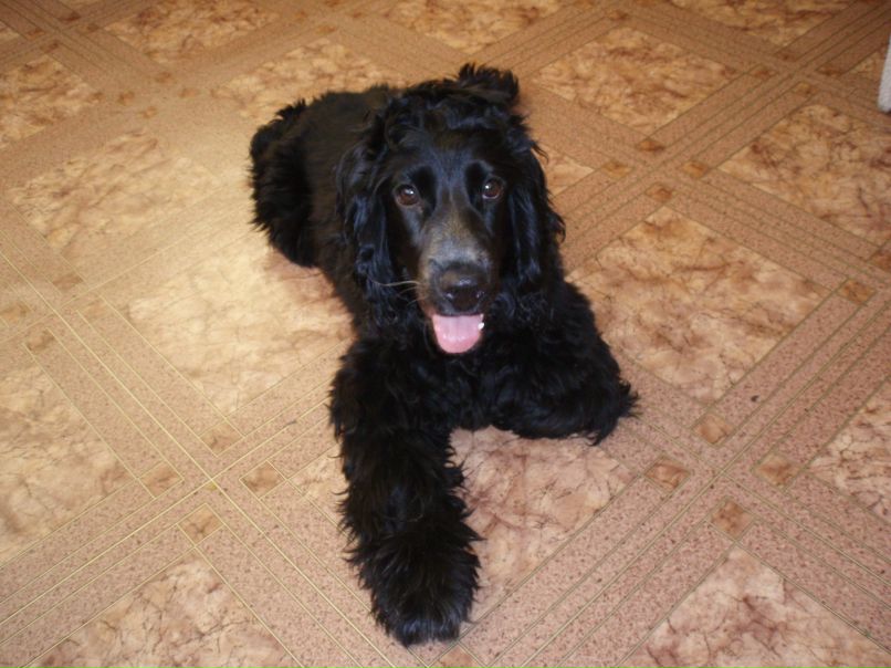 Настя Томина | Самара