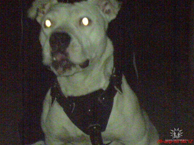 Վահան Zakaryan | Москва