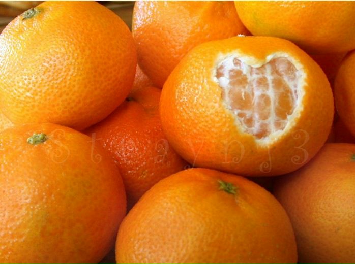 Наталичка Находкинская фото профиля #4