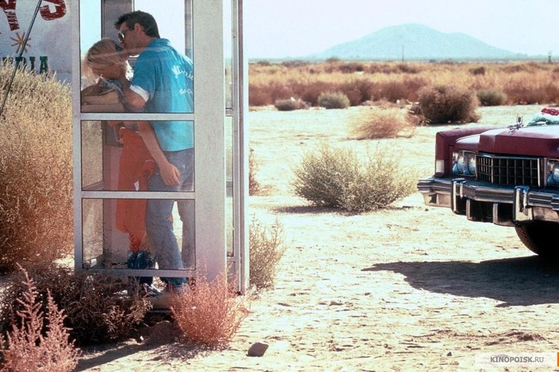 Зарина Петрова | 