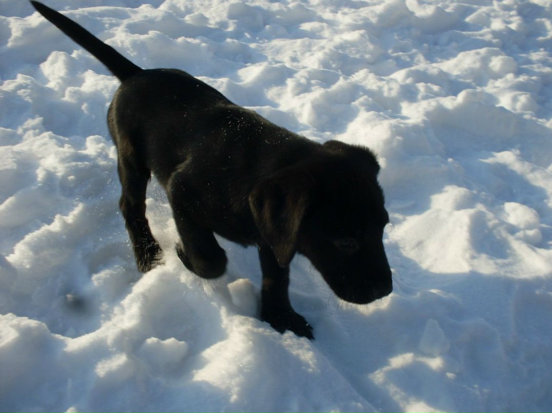 Диана Оренко | Киев