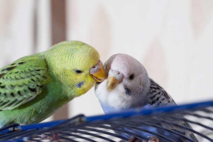 Галина Масалыкина | Оренбург