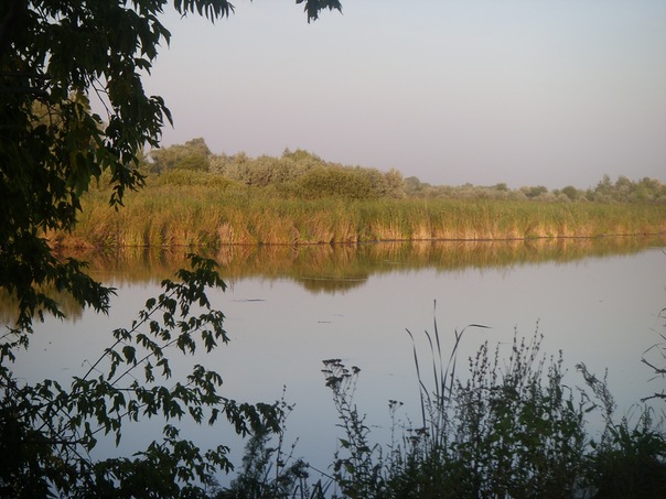 №138, Любовь Павлова, 09.03.1994, Кинель №138, Любовь Павлова, 09.03.1994, Кинель