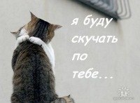 Ирина Володина | Москва