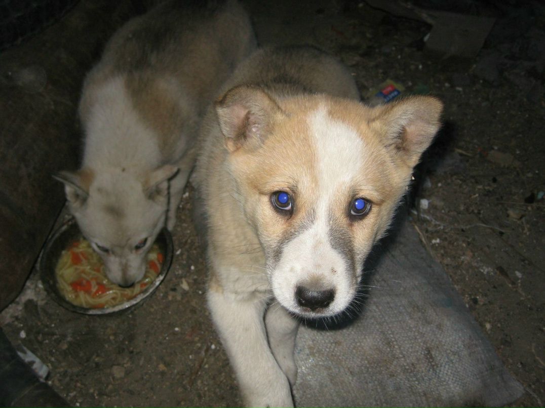 Ирка Горбачева | Одесса