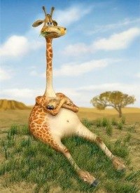 Оксана Пухова | Гаврилов Посад