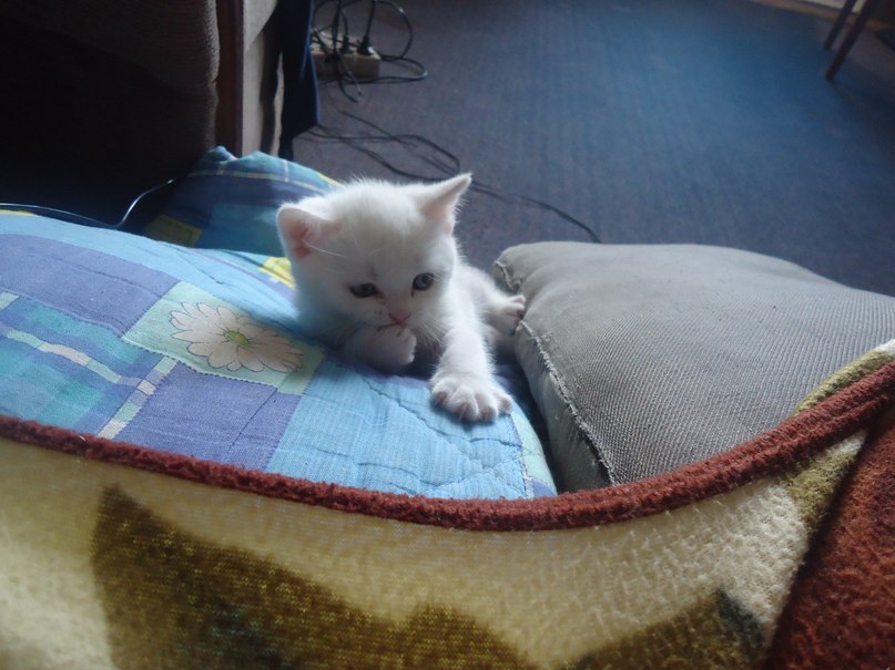 Настюша Евтюхова | Балаково