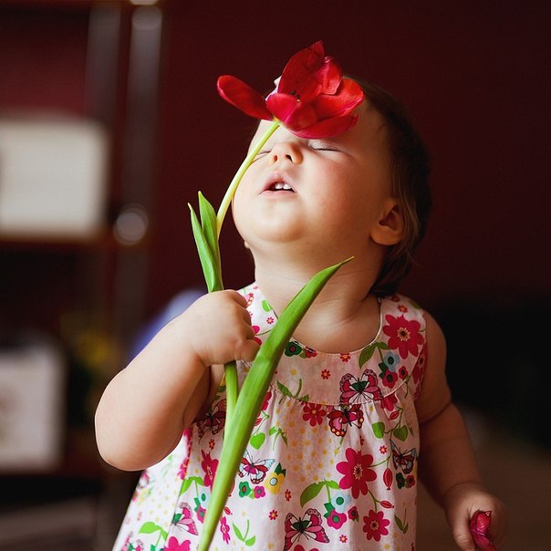 Ната Дмитриева | 