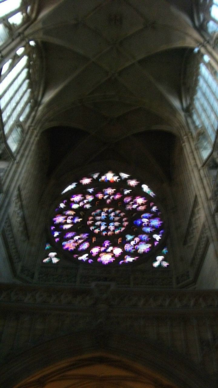 Тасмоническая Маня | 