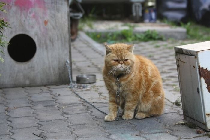 Димон Кравченко | Бердичев