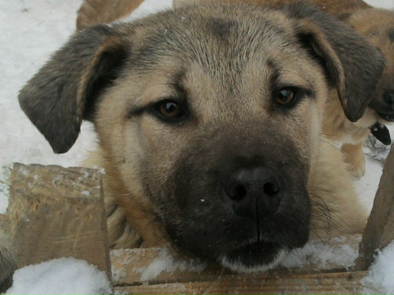 Марсель Бакиров | Казань