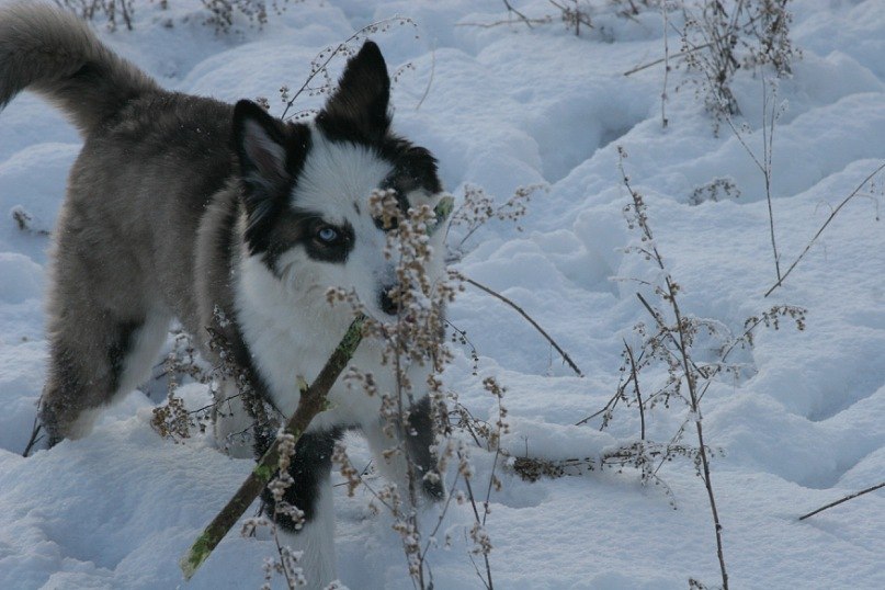 Ирина Мирохина | Новосибирск