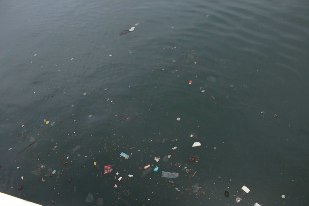 Дарья Лисовская ☆☆☆ | Москва