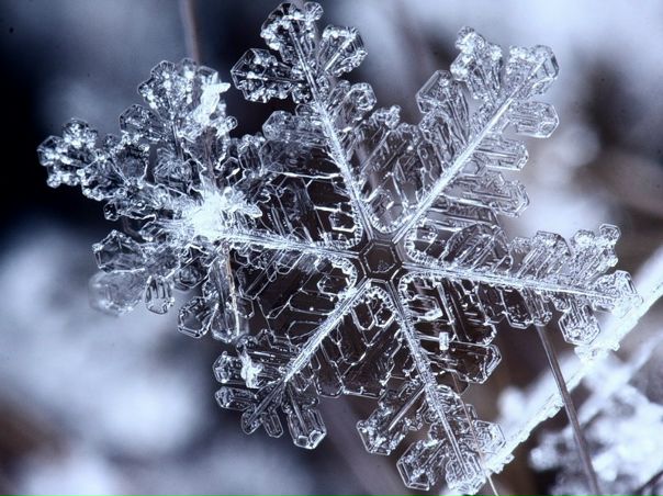 №14, Ольга Шарофеева, Кривой Рог №14, Ольга Шарофеева, Кривой Рог