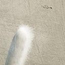 №6, Игорь Лозовский, Рыбница, Молдова №6, Игорь Лозовский, Рыбница, Молдова