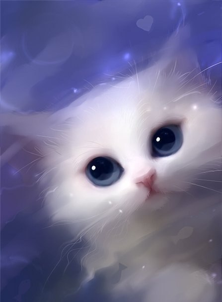 Njyta Bolohova | Львов