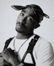 Фотография Shady Slim