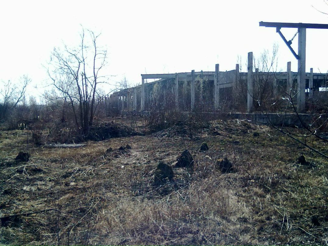 Игорь Боледзюк | Коломыя