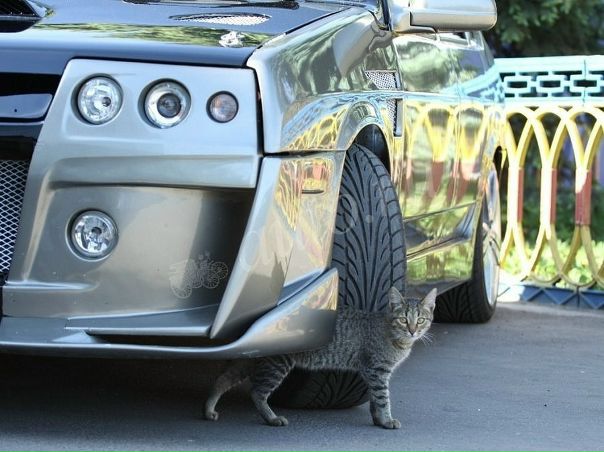 №13, Сергей Павлов №13, Сергей Павлов