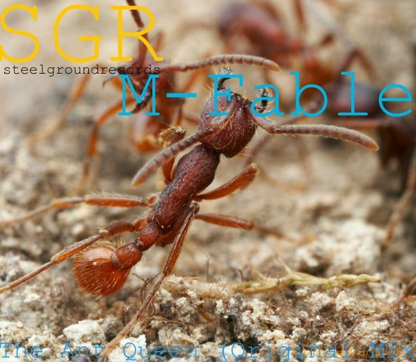 №13, Ярик Магда, Полтава №13, Ярик Магда, Полтава