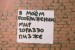 Талга Просто фотография #48 (источник - https://vk.com/id67283369)