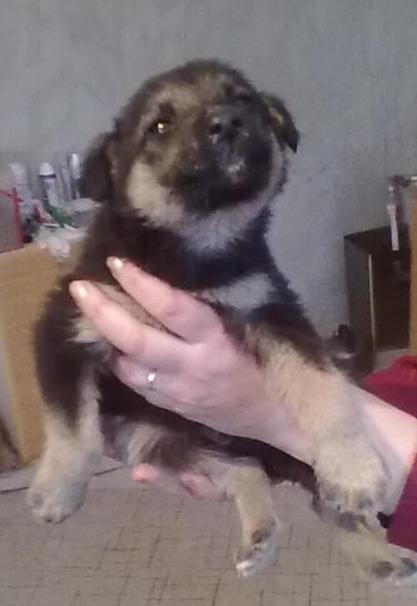 Ольга Сапожникова | Энгельс