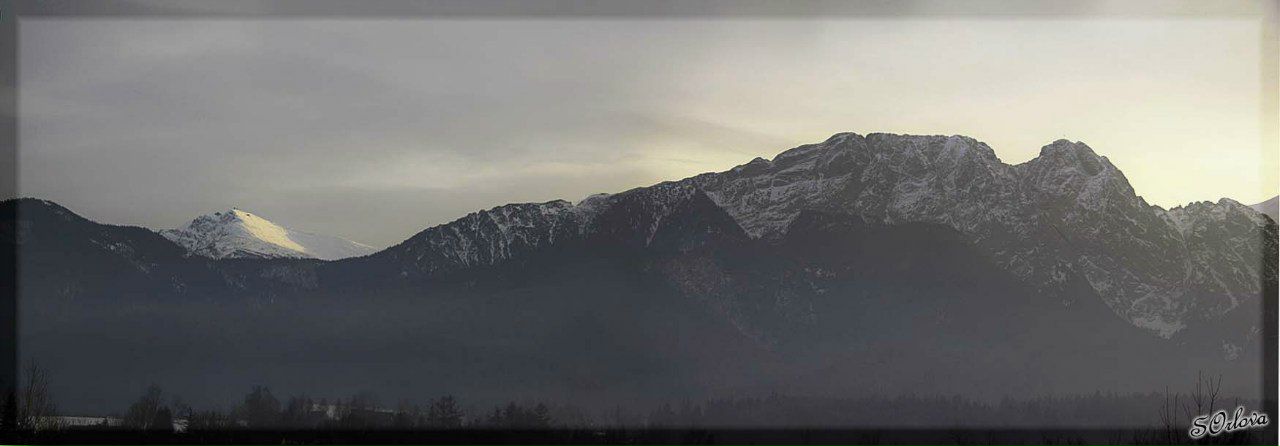 Красотулька Лимпопо | Москва