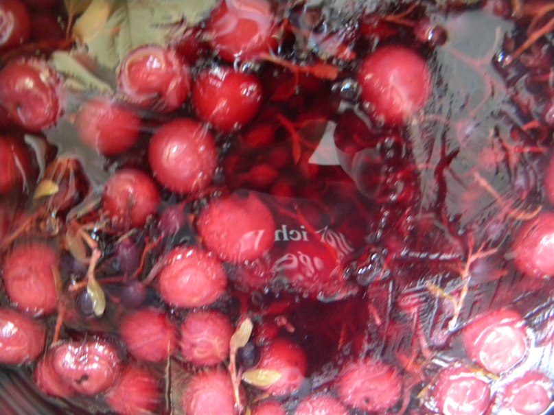 Вадим Патоцкий | 