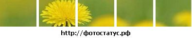 №5 Виктория Бахарева 04.04.1996: профиль, фото, статус - ВКонтакте