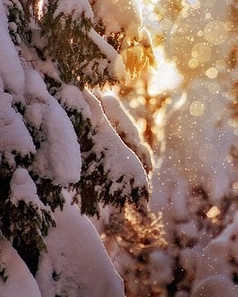 №116, Даша Даша, 36 лет, Москва, Россия №116, Даша Даша, 36 лет, Москва, Россия