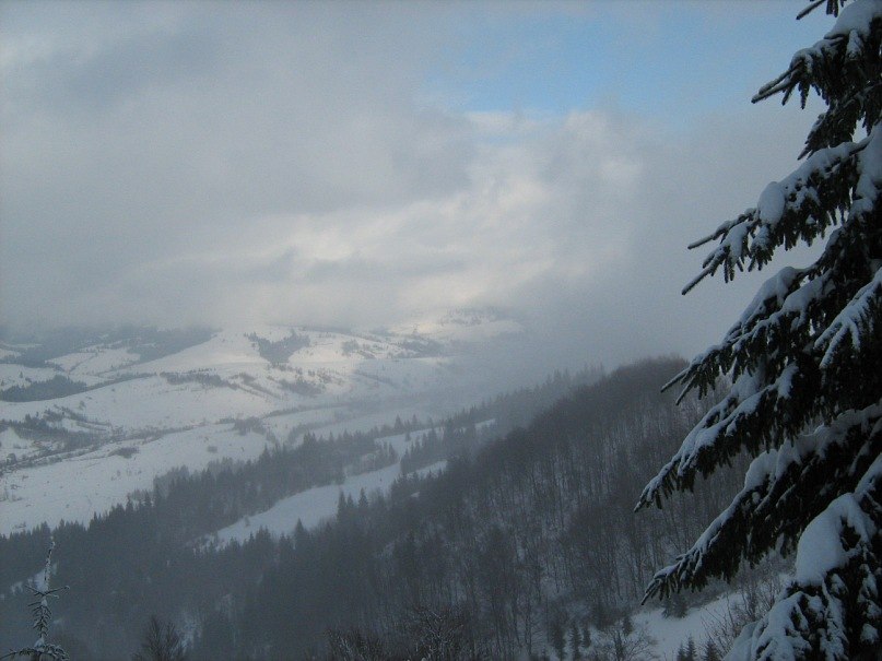 Лида Коваль | Киев