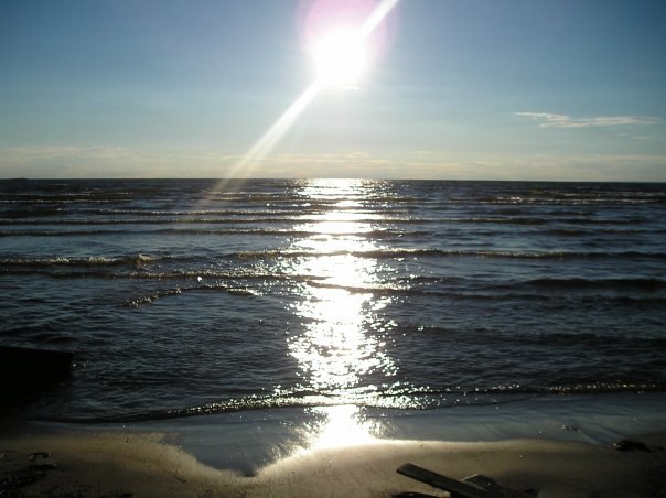 Максим Медяков | Фрязино