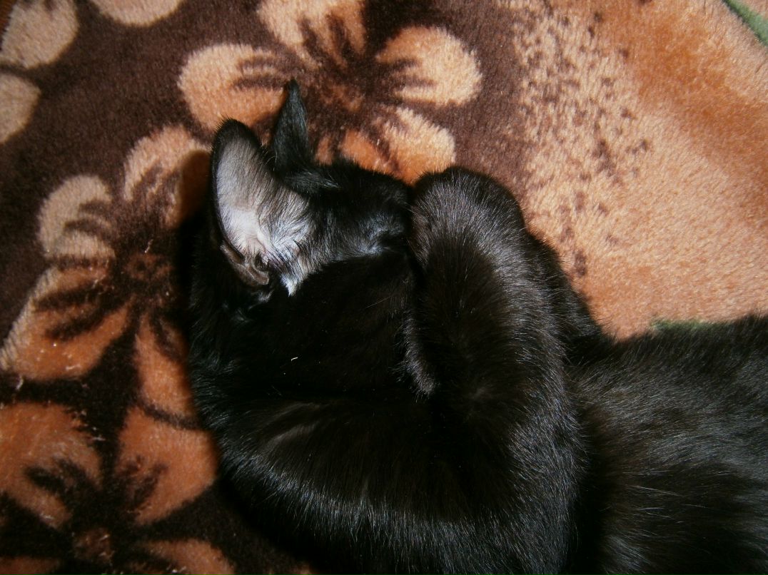 Мария Агеева | Братск