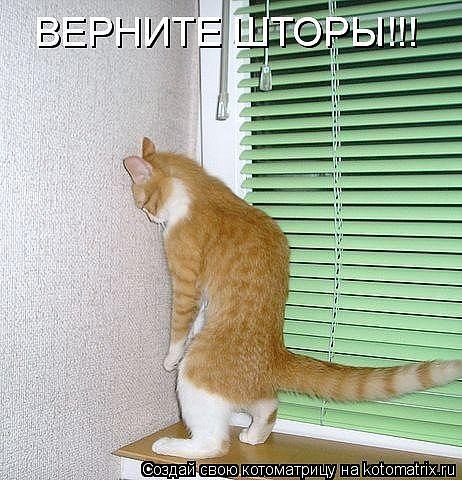 Маргарита Брель | Санкт-Петербург