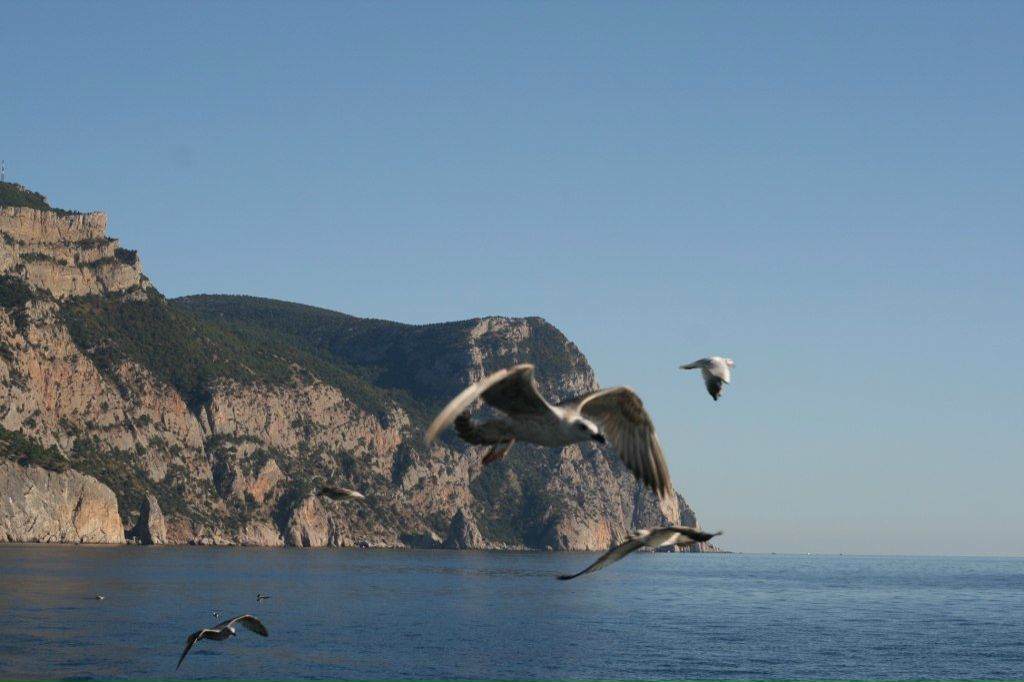 Анна Пасмурова | Санкт-Петербург