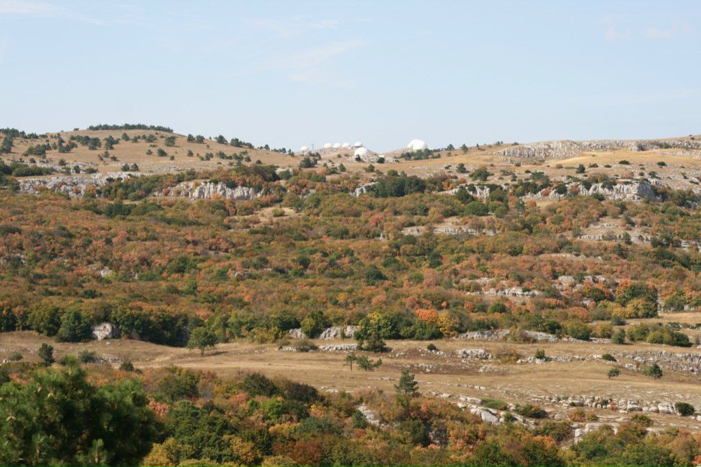Анна Пасмурова | Санкт-Петербург