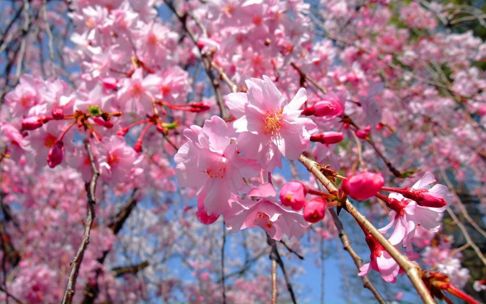 №98, Екатерина Ниязова, Малая Пурга №98, Екатерина Ниязова, Малая Пурга