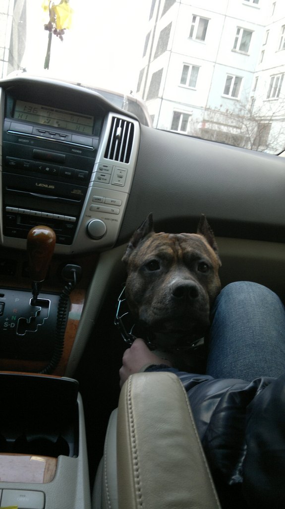 Василий Новиков | Красноярск