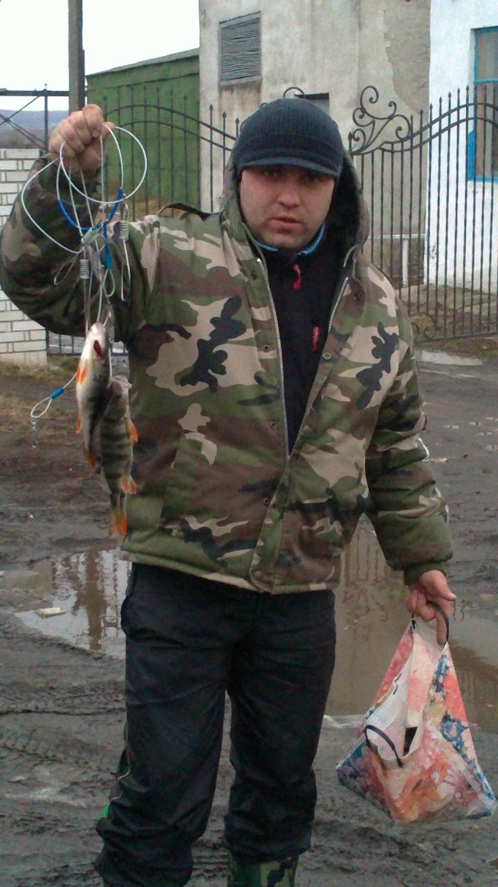 Любчик Ламіш | Богородчаны