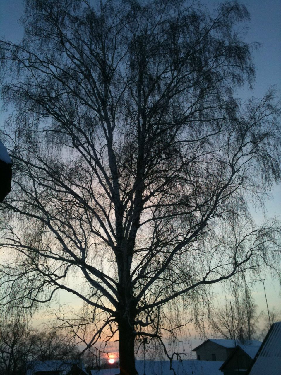 Денис Дулькин | Москва