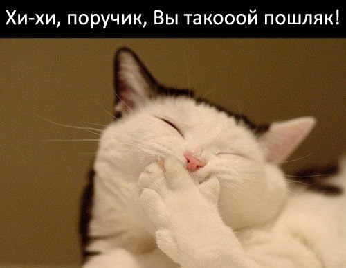 Валерия Корелина | Тула