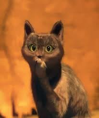 Иван Сорокин | Хабаровск