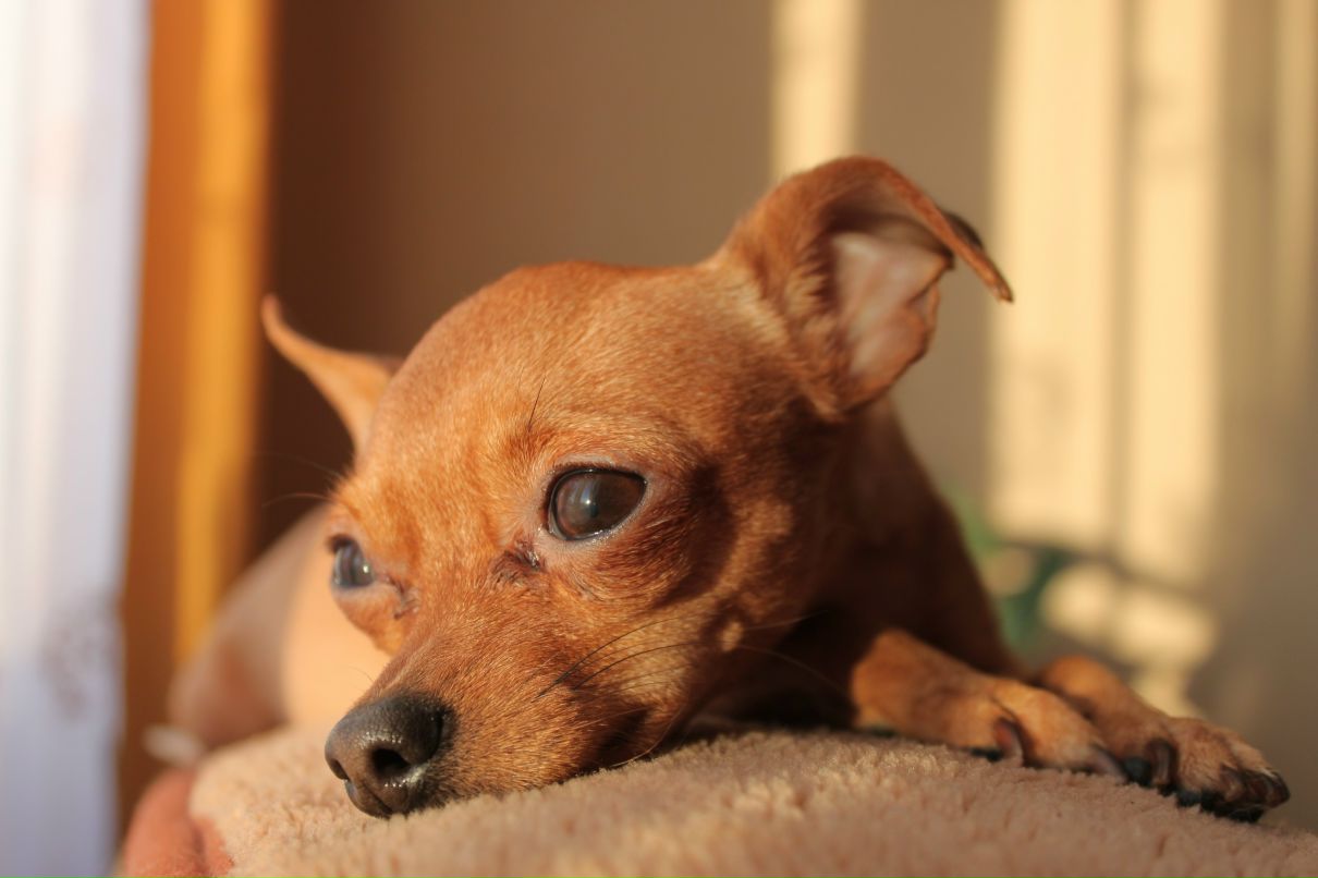 Александр Никитич | Омск