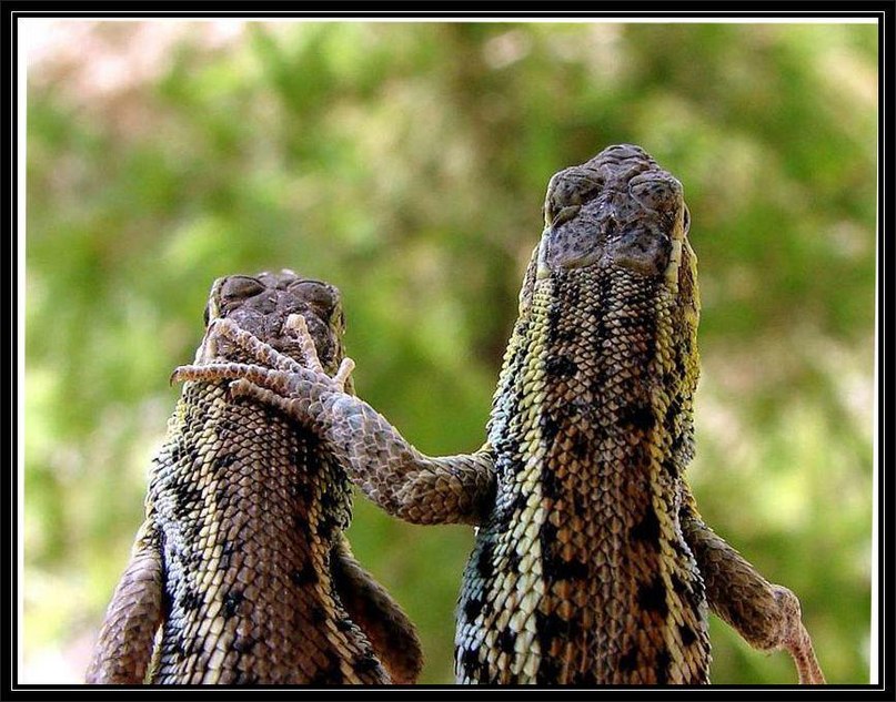 Алексей Коренев | Москва