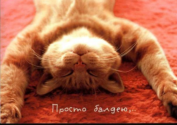 №19, Вадим Мальцев, Терновка №19, Вадим Мальцев, Терновка