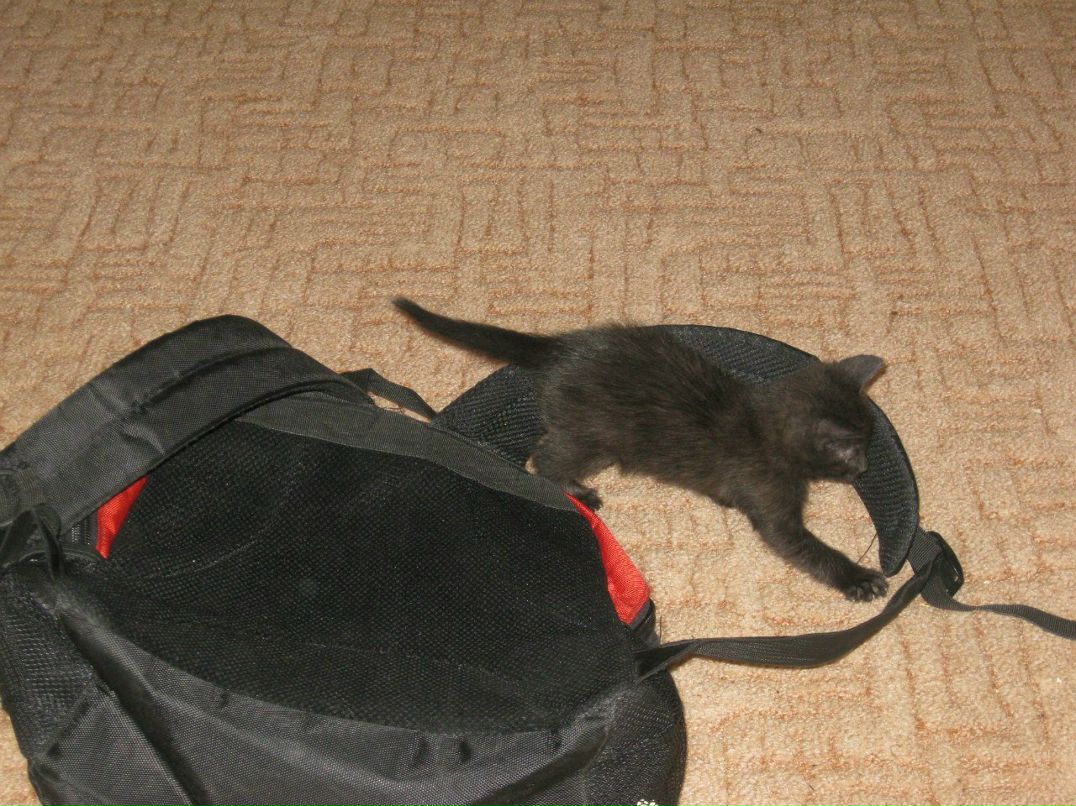 Дашута Троеглазова | Санкт-Петербург