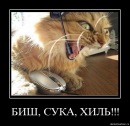 Фотография Литвиненко Антона