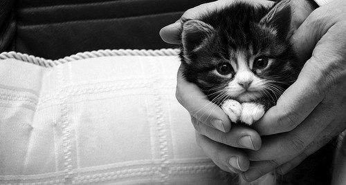 Наталия Кузьмина | Вологда